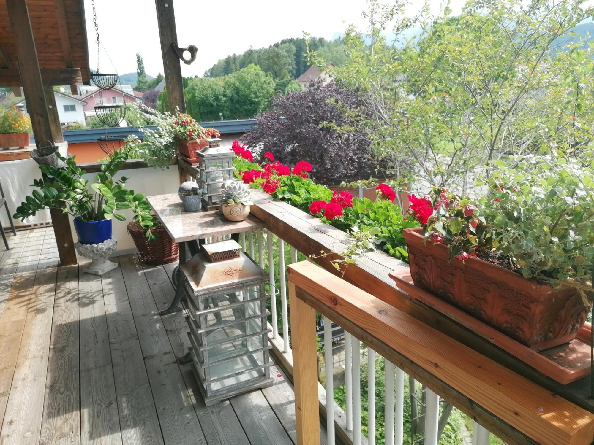Ferienwohnung Am Rhein Koblach Eksteriør bilde